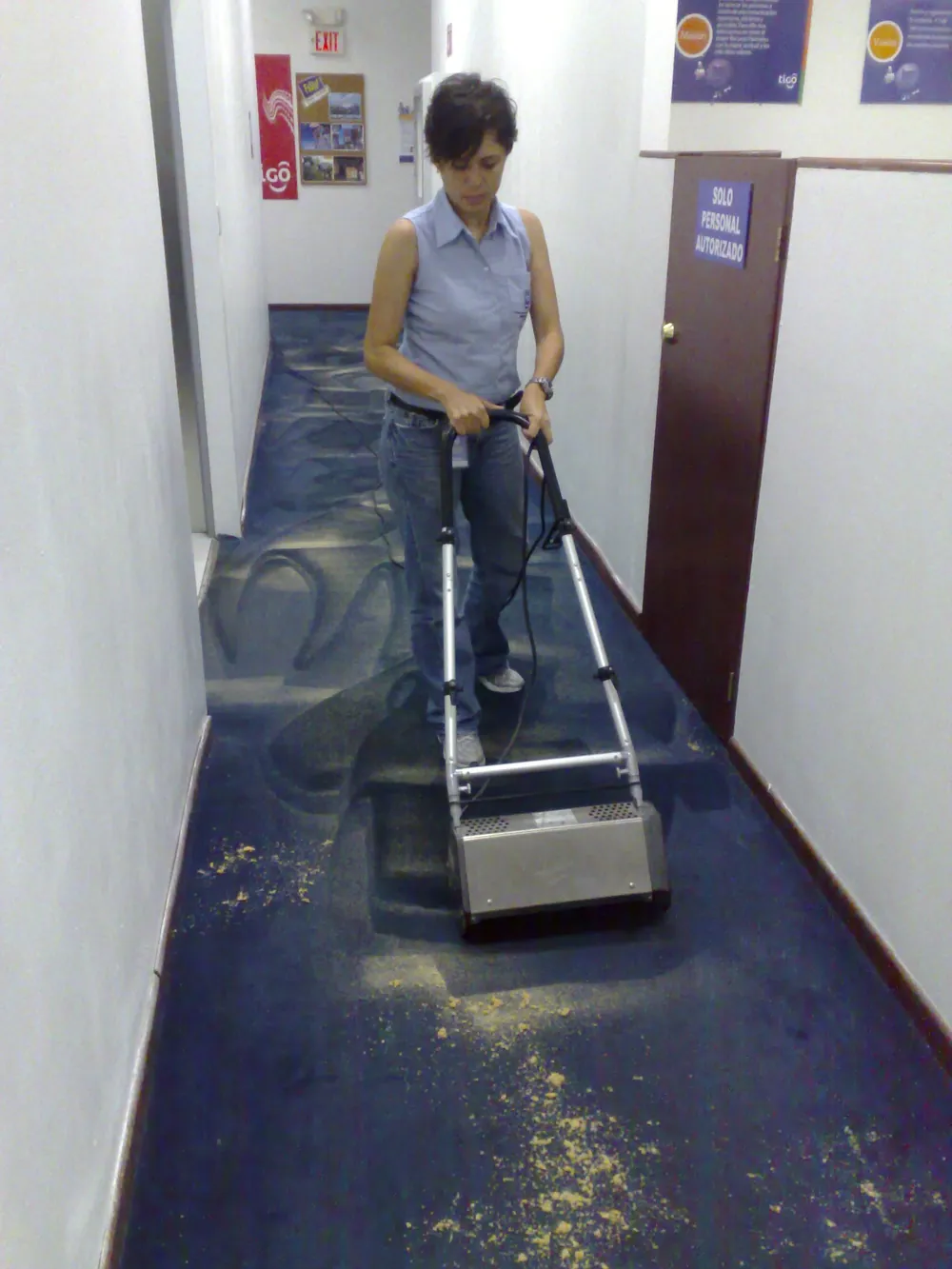 Aplicación de compuesto seco sobre alfombra para limpieza sin agua